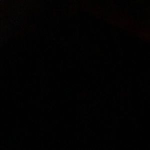 Meet your Posher, Lenore